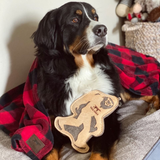 Tall Tails Natural Leather & Wool Bigfoot Tug Toy for Dogs