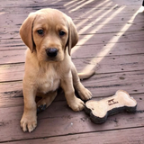 Tall Tails Natural Leather & Wool Bone Toy for Dogs