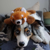 Tall Tails Stuffless Red Panda 