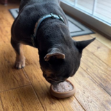 Tall Tails Wiggle Waffle Chew Toy for Dogs