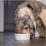 The Innocent Hound Air Dried Dog Food Gourmet British Duck