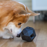 The Odin Puzzle Treat Dispensing Toy