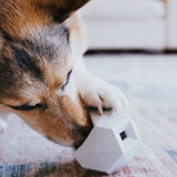 The Odin Puzzle Treat Dispensing Toy