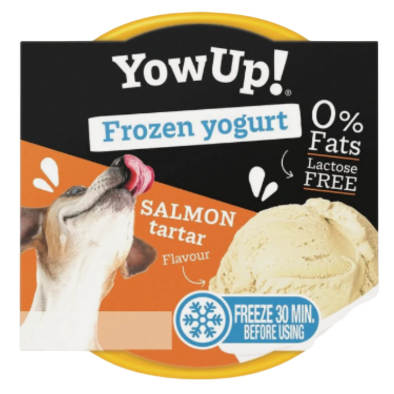 Yow Up! Ice Cream Yogurt Salmon Tartar