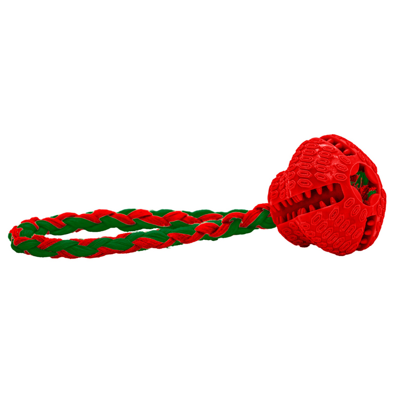 Dog Life Festive TPR Treat Bell