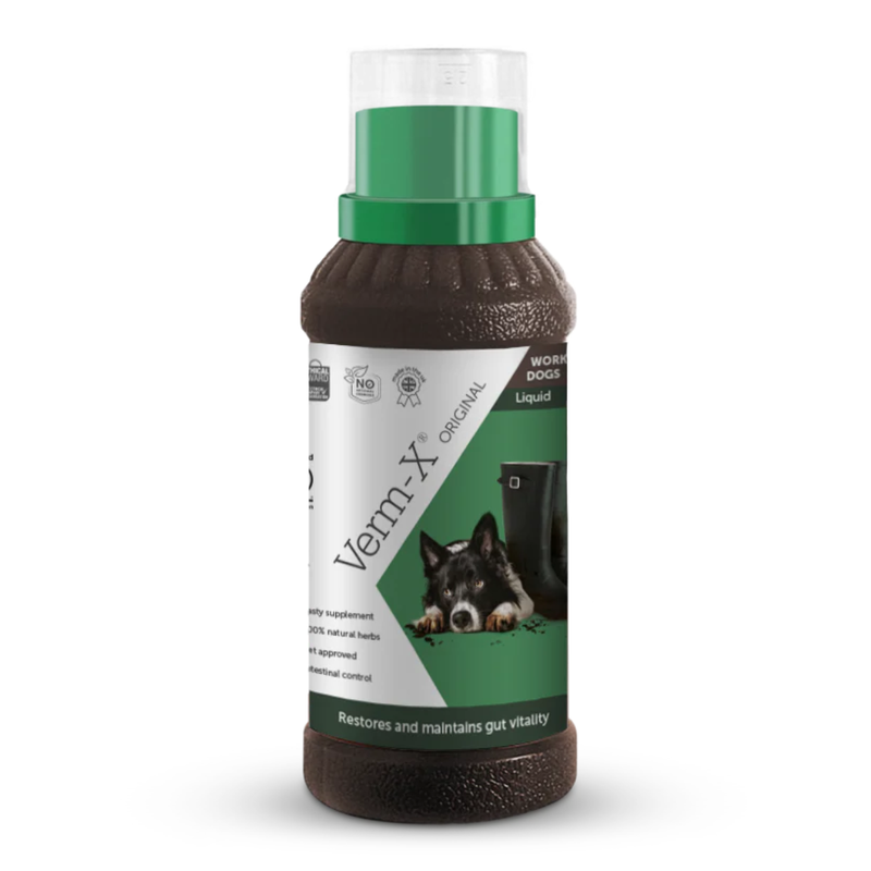 Verm-X Original Liquid for Dogs