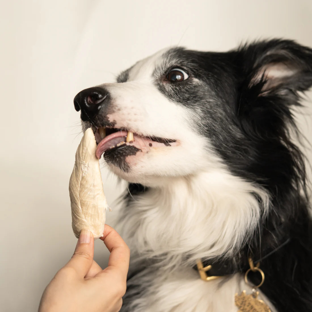 Freeze Dried Chicken Breast: Pure Protein for Pets - Brown's Natural ...