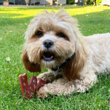 W'zis Smoky Dubya Pouch of Dog Chews