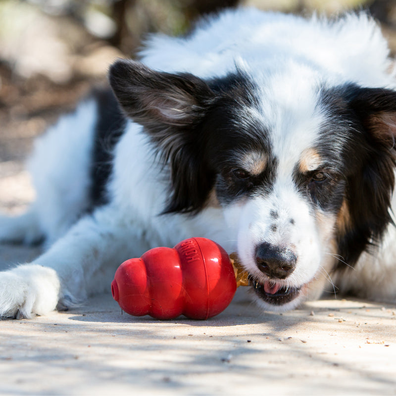 KONG Snacks Peanut Butter